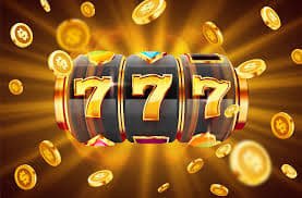win77