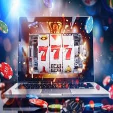 win77